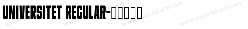 Universitet Regular字体转换